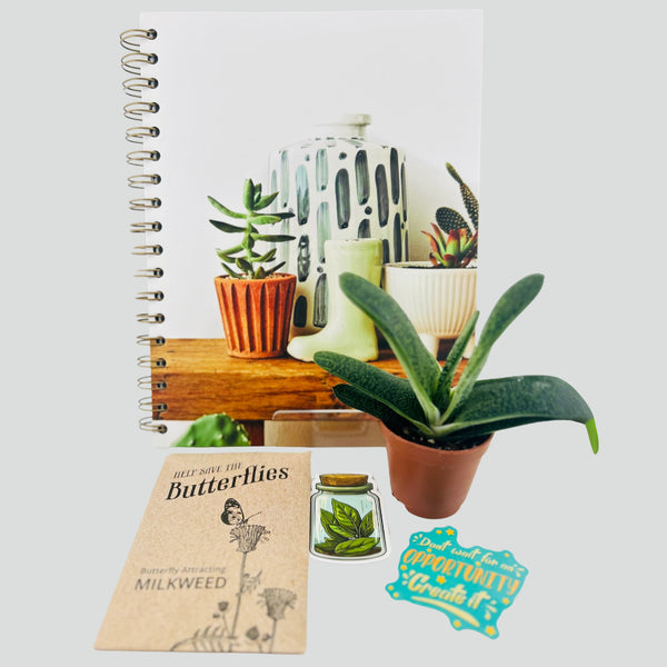 🌸 Garden Pack