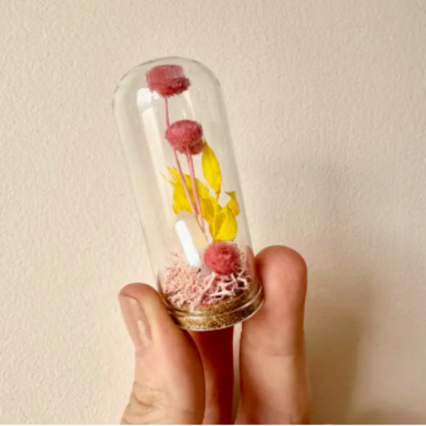 Glass dome with preserved flowers held by a hand against a plain background
